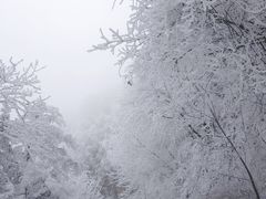 -嘉陵江源头景区