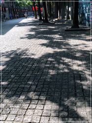 -金太子形象设计