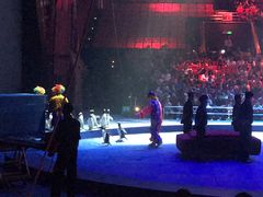 -珠海横琴长隆《卡卡虎奇遇记》