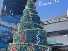 -浦江城市生活广场(江月路店)