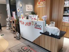 -御宝贝·A梦猫科宠物医院(国际猫友好医院)
