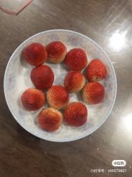 -哈妮儿童摄影(德清店)