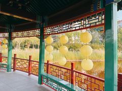 -西海子公园