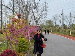 -上海长兴岛郊野公园