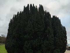 -查茨沃斯庄园