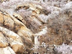 -北京凤凰岭