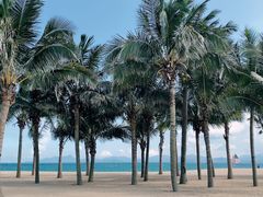 -玫瑰海岸文化旅游度假区