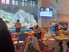 -帝企鹅自助餐厅•儿童岛•真企鹅(长隆企鹅酒店)