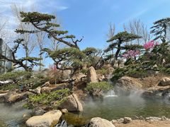 -罗红摄影艺术馆