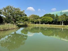 -福田红树林生态公园
