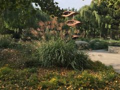 -石家庄市植物园