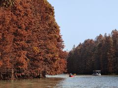 -上海海湾国家森林公园