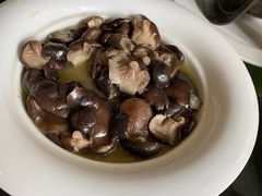 茶油烩香菇-燕江楼(燕东店)