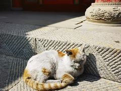 -塔尔寺