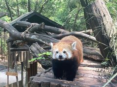 -云南野生动物园