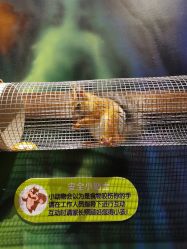 -未来动物城动物主题公园(大悦城店)