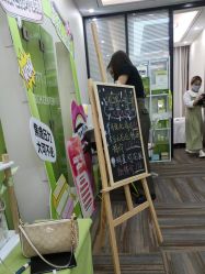 -凡碧诗毛孔清洁收细