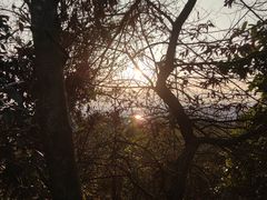 -云碧峰国家森林公园