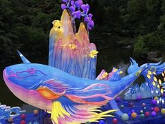 -白马涧龙池景区