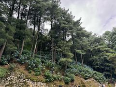 -寂照庵