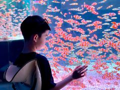 -海合安成都极地海洋公园