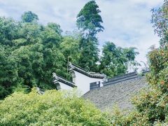 -上海醉白池公园