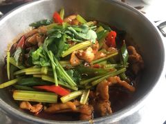 -云中小雅