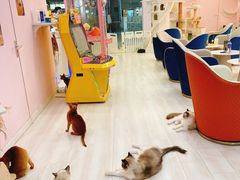 -千寻布偶家主题咖啡馆