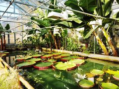 -国家植物园南园