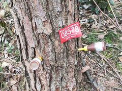 -青龙山国家森林公园