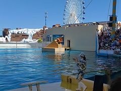 -秦皇岛乐岛海洋王国