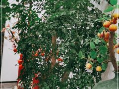 -千滋百味·醉江澜花园餐厅(街道口店)