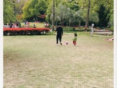 -苏州河梦清园环保主题公园