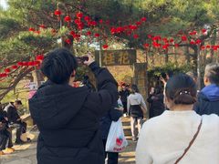 -庐山风景区花径公园