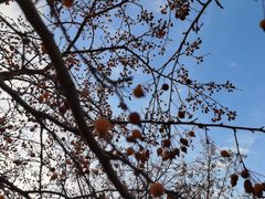 -北京国家会计学院