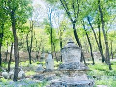 -北京上方山国家森林公园