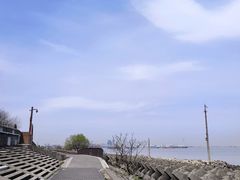 -上海滨江森林公园