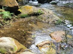 -南海湾森林生态园