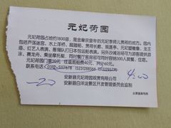 -白洋淀景区