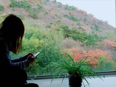 -金隅凤山酒店