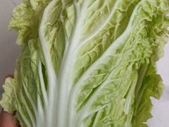 -元初食品(幸福e家小区店)