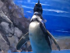 -青岛海底世界-水族馆