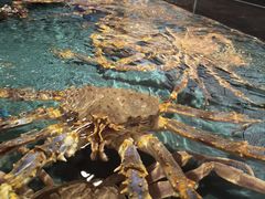 -龙宴海鲜城(经中路店)