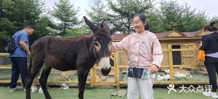 红崖峡谷景区图片