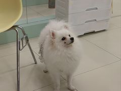 -怪兽屋·羊驼·猫咖·狗咖(俊华广场店)