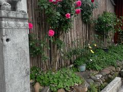 -杭州西湖风景名胜区-满觉陇四眼井
