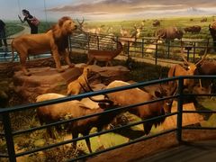 -陕西自然博物馆