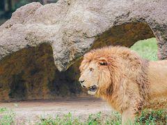 -杭州野生动物世界