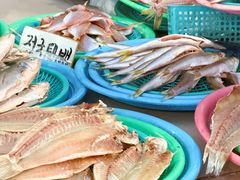 -西归浦每天偶来市场