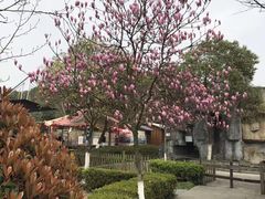 -白马涧龙池景区